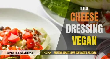 Blue Cheese Dressing: Vegan-Friendly or Not?