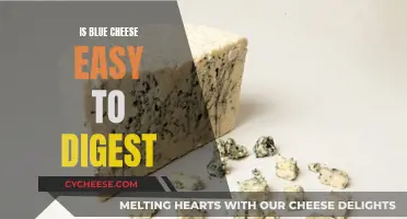 Blue Cheese: Easy to Digest or Not?