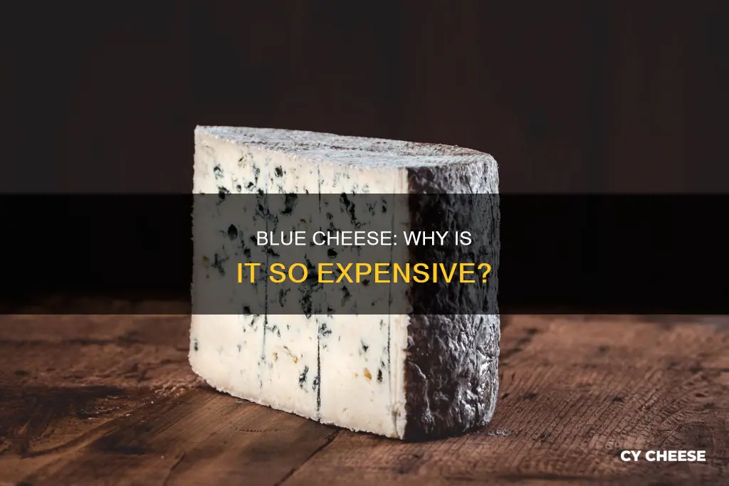 is blue cheese expensive