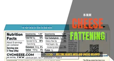 Blue Cheese: Fattening or Healthy Indulgence?