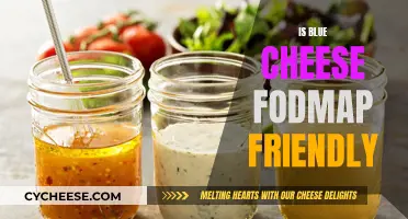 Blue Cheese and FODMAP: A Friendly Combination?