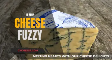 Blue Cheese: Fuzzy or Not?