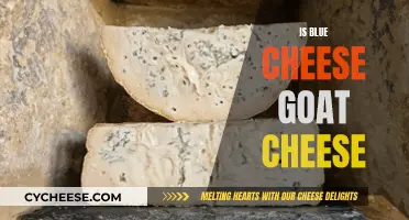 Goat Cheese and Blue Cheese: What's the Difference?
