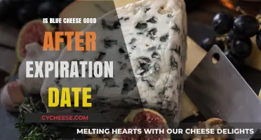 Blue Cheese: Safe to Eat After Expiry?