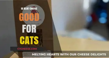 Blue Cheese: A Healthy Cat Treat?