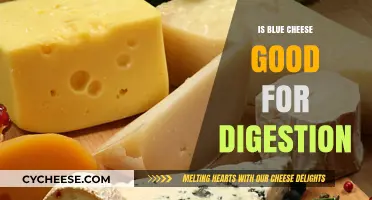 Blue Cheese: A Digestive Superfood?