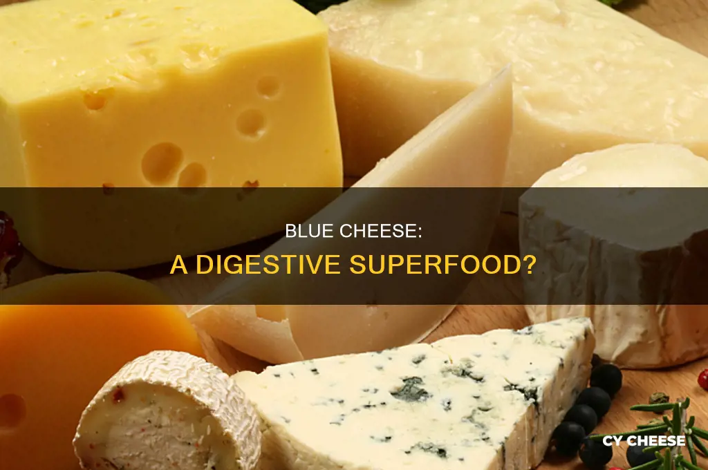 is blue cheese good for digestion