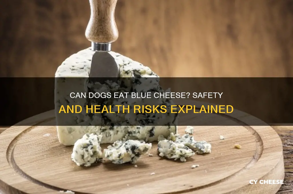 is blue cheese good for dogs
