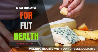 Blue Cheese: Friend or Foe for Gut Health?