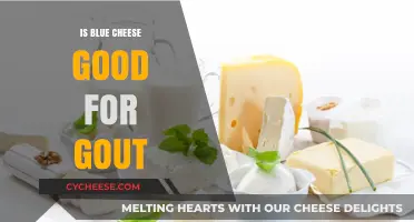 Blue Cheese and Gout: A Healthy Combination?