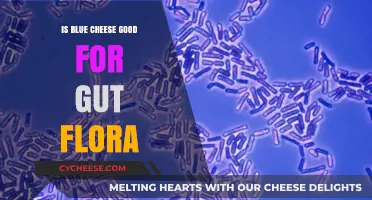 Blue Cheese: Friend or Foe to Gut Flora?