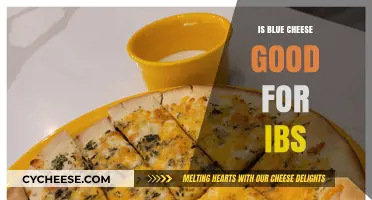 Blue Cheese and IBS: A Healthy Match?