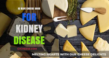 Blue Cheese and Kidney Disease: A Healthy Match?