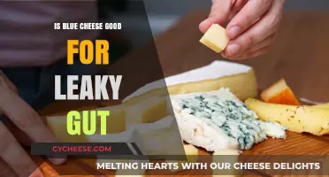 Blue Cheese: Friend or Foe for Leaky Gut?