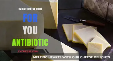 Blue Cheese: Antibiotic Superfood?