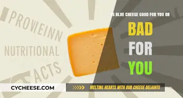 Blue Cheese: Healthy or Harmful?