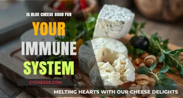 Blue Cheese: Superfood for Your Immune System?