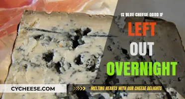 Blue Cheese Left Out: Safe or Not?