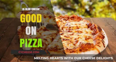 Blue Cheese Pizza: Delicious or Disgusting?