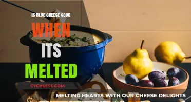 Melted Blue Cheese: Delicious or Disaster?