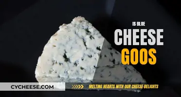Blue Cheese: Delicious or Disgusting?