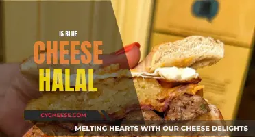 Understanding Blue Cheese's Halal Status: What Muslims Should Know
