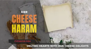 Blue Cheese: Halal or Haram?