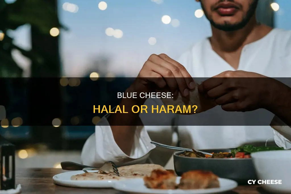 is blue cheese haram