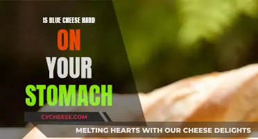 Blue Cheese: Friend or Foe to Your Stomach?
