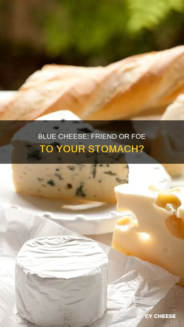is blue cheese hard on your stomach
