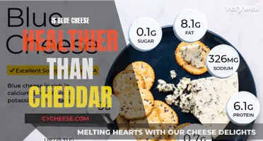 Blue Cheese vs. Cheddar: Unveiling the Healthier Choice