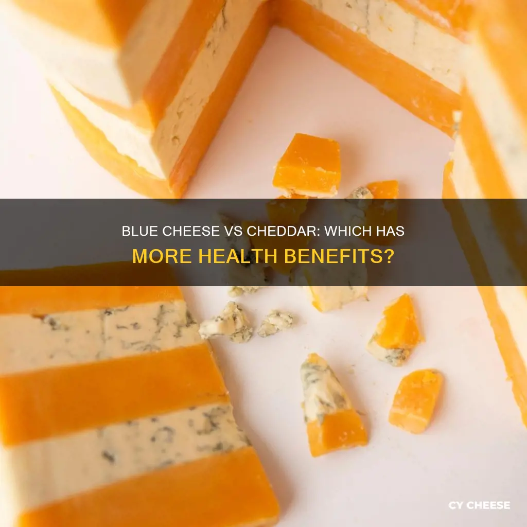 is blue cheese healthier than cheddar