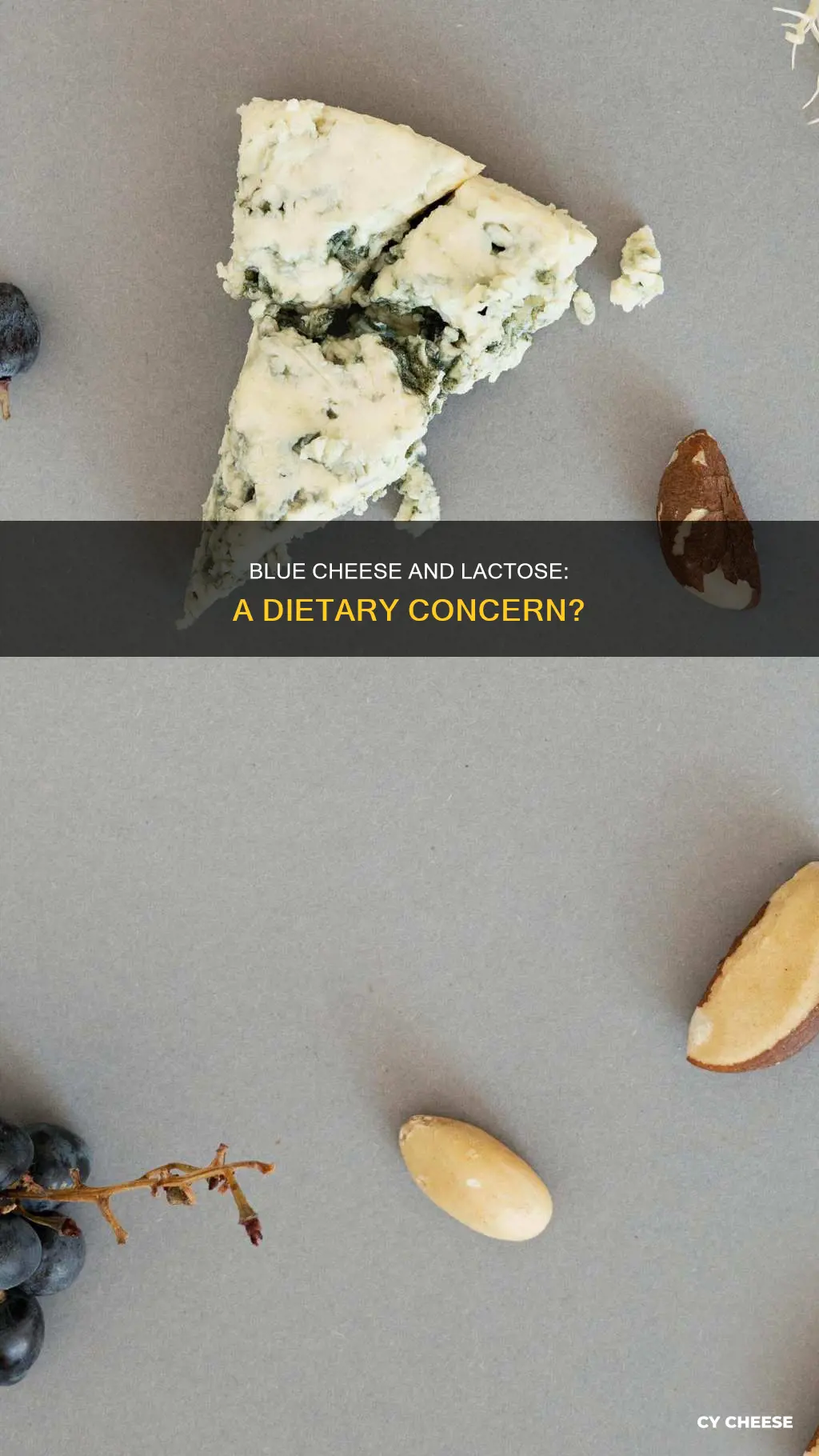 is blue cheese high in lactose