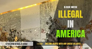 Blue Cheese: America's Illegal Delicacy?