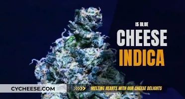 Blue Cheese Indica: What's the Verdict?