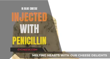 The Penicillin-Blue Cheese Connection: Injection or Natural Mold?
