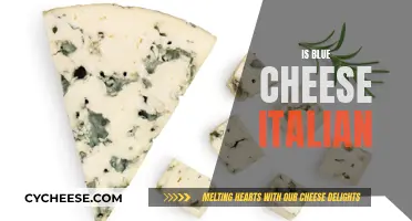 Blue Cheese: An Italian Delicacy?