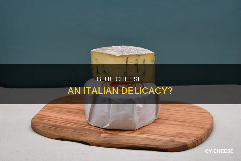 is blue cheese italian