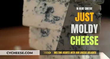 Blue Cheese: Moldy or Magical?