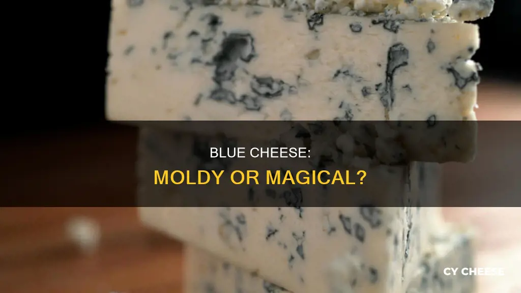 is blue cheese just moldy cheese