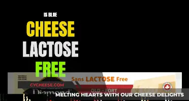 Blue Cheese and Lactose: Is It Safe to Eat?