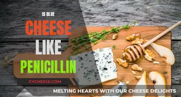 Blue Cheese and Penicillin: What's the Connection?