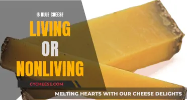 The Mystery Behind Blue Cheese: Living or Nonliving?