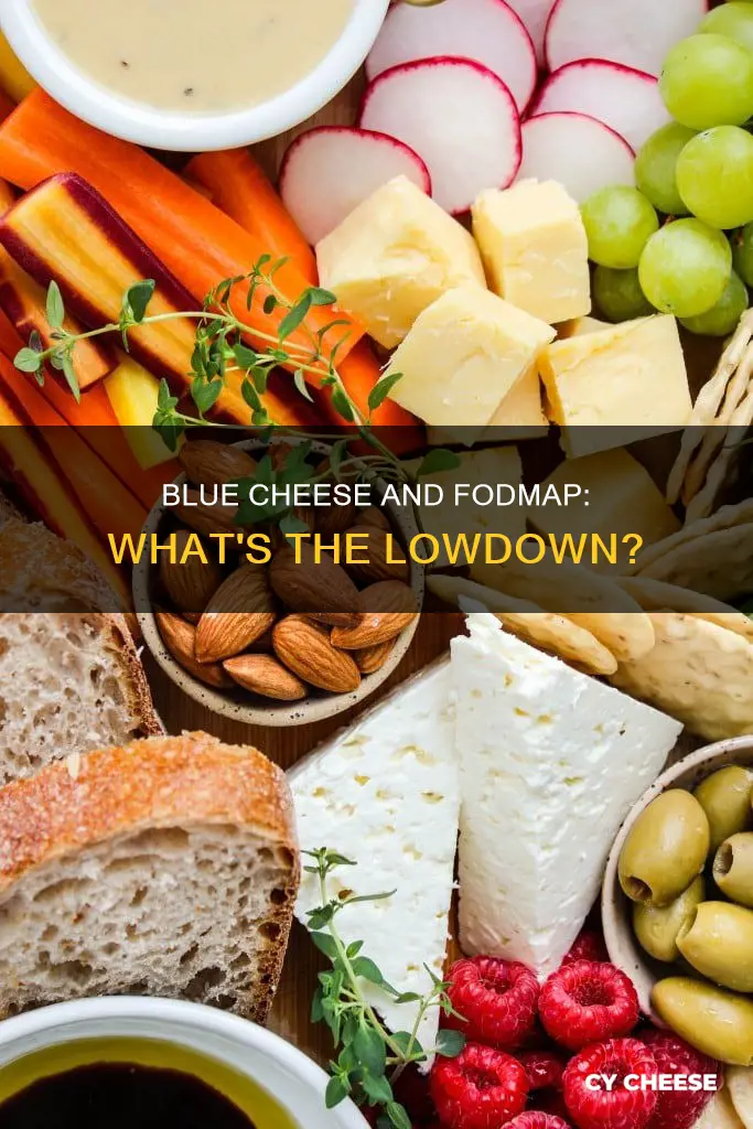 is blue cheese low fodmap