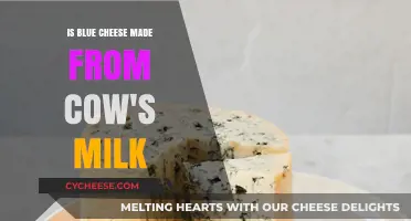 Unveiling the Blue Cheese Mystery: Cow's Milk or Not?