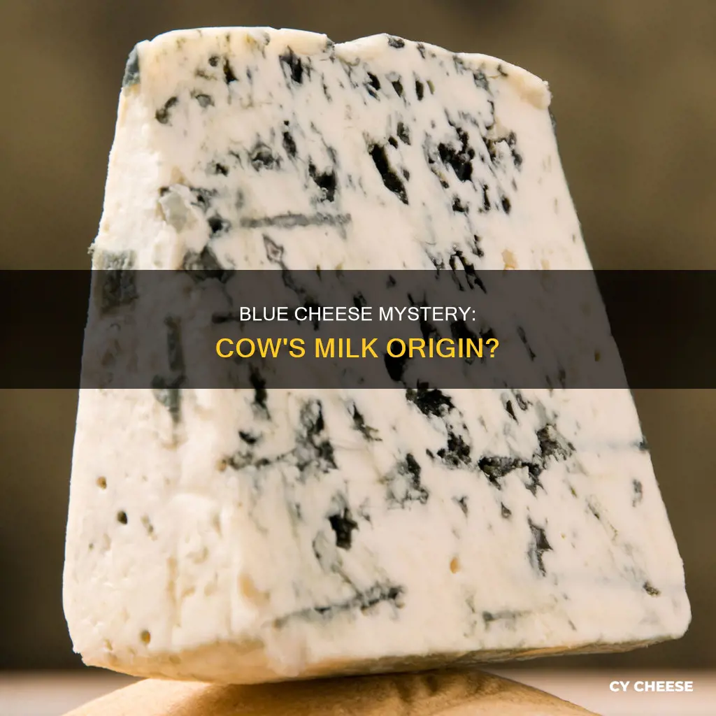 is blue cheese made from cow