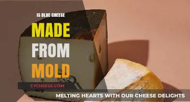 Unveiling the Blue Mystery: Mold's Role in Cheese