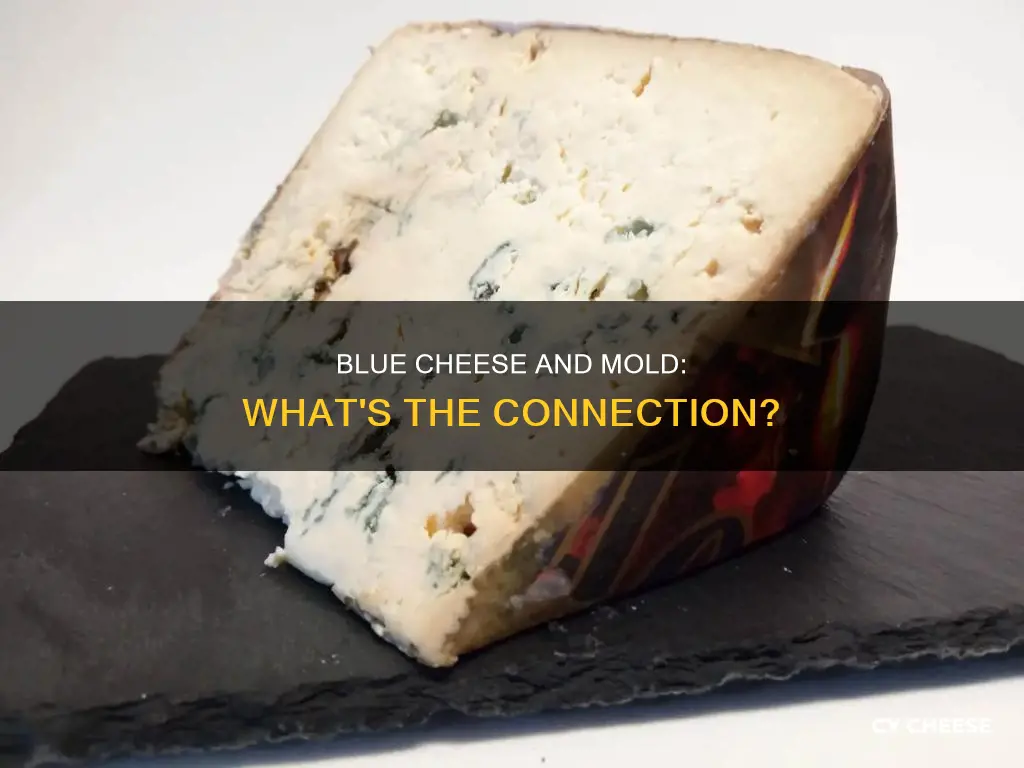 is blue cheese made from mold