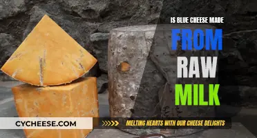 Blue Cheese and Raw Milk: A Delicious Mystery