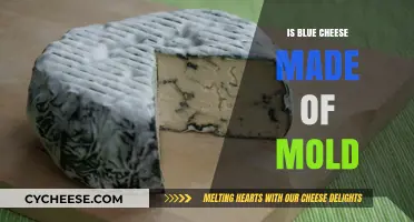 Unveiling the Mystery: Blue Cheese's Moldy Secret